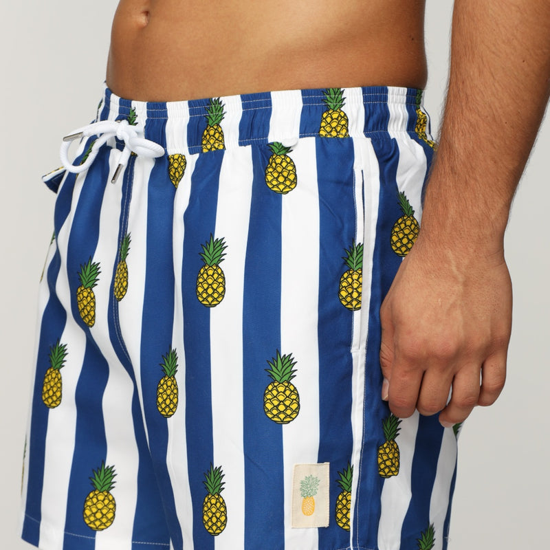 Pineapple Stripe Swim Shorts